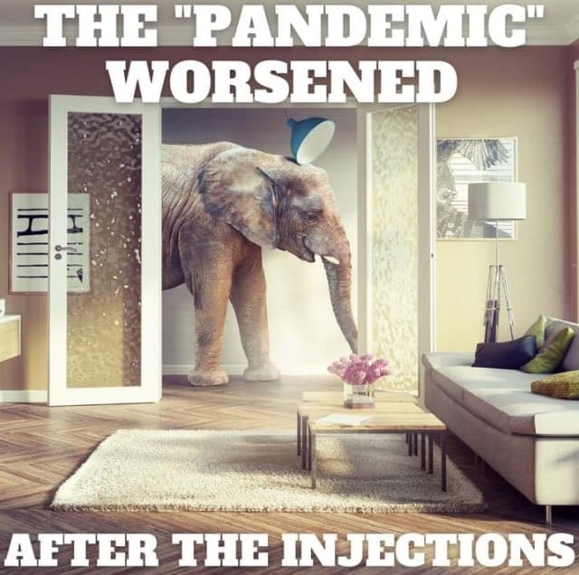 elephant in room