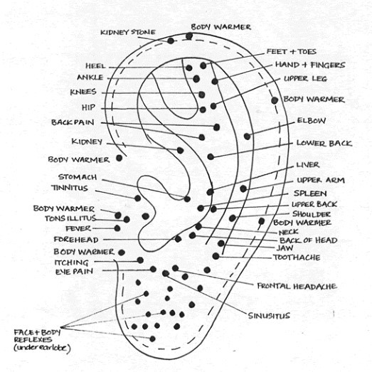 ear reflexology